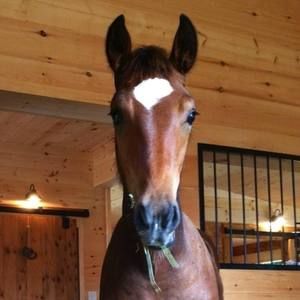 Meet your Posher, Denise